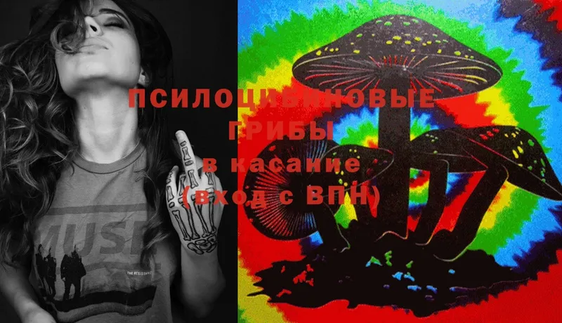 Псилоцибиновые грибы MAGIC MUSHROOMS Сорочинск